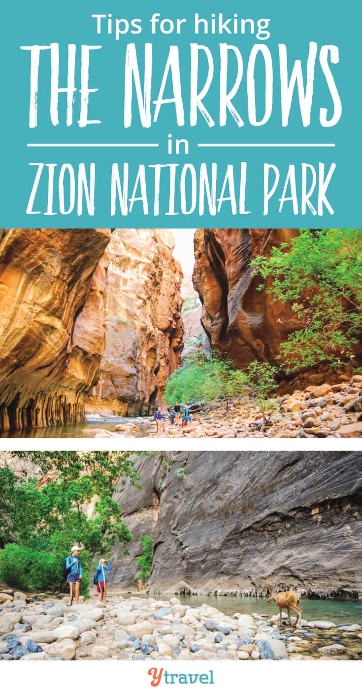 Zion Narrows Hike - 18 tips for hiking the Narrows in Zion National Park, with or without kids.