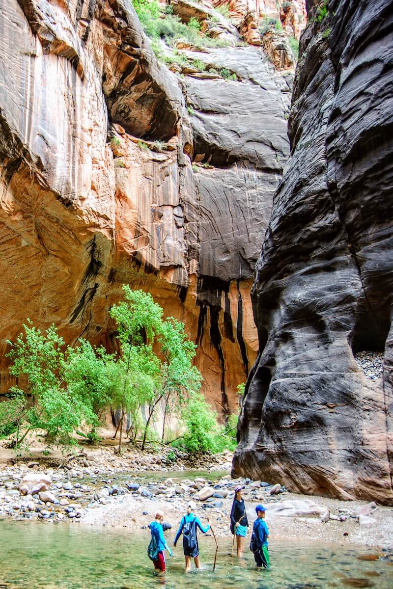 family wading in waters of the narrows