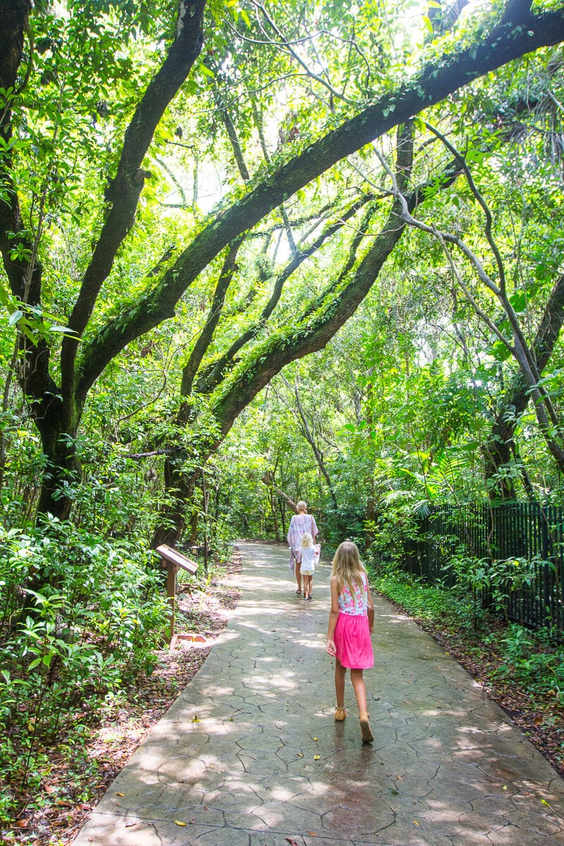 family walking on lush trail Barnacle Historic State Park 