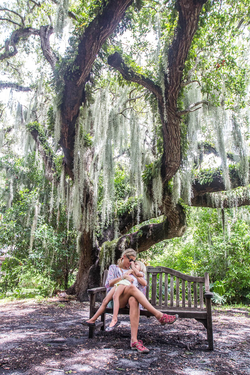 woman and child cuddling on seat under a live oak tree