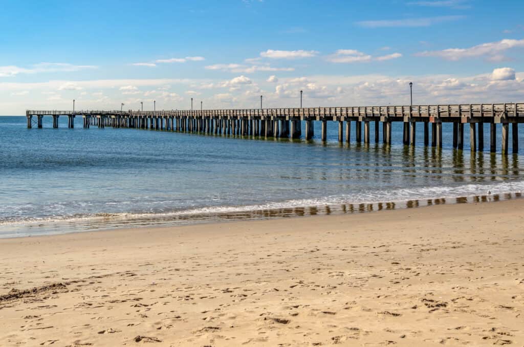 Pat Auletta Steeplechase Pier at Coney island Beach