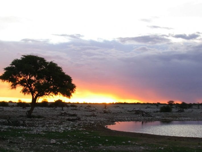 A sunset over a grass field