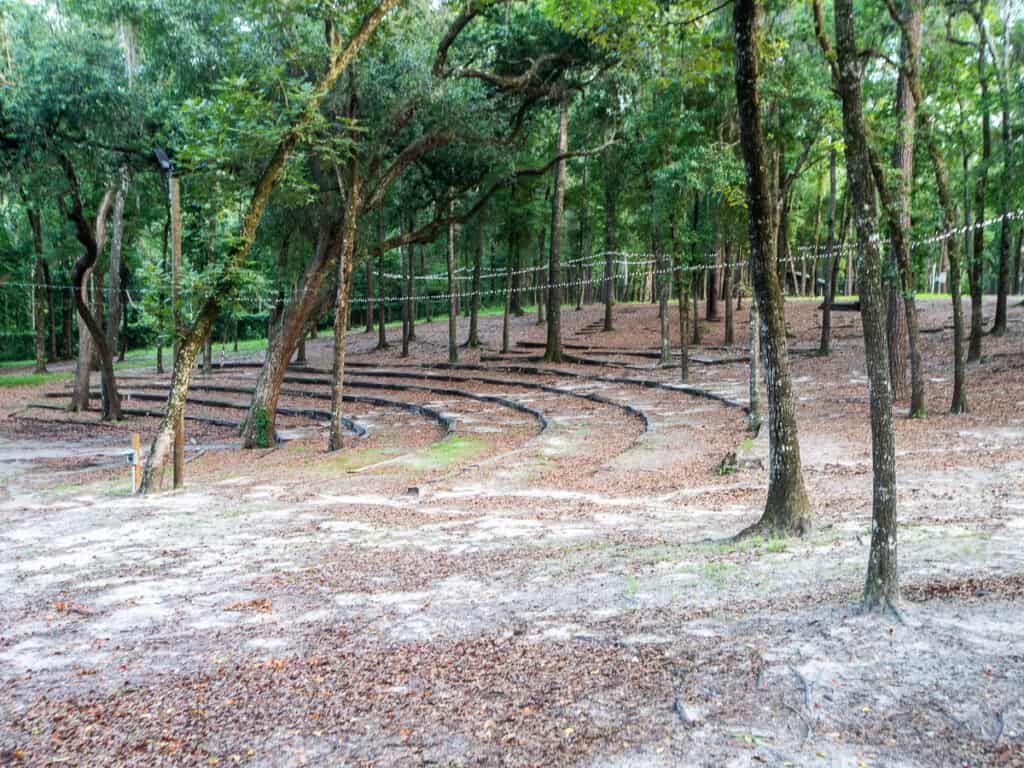 Natural amphitheater in a forest.