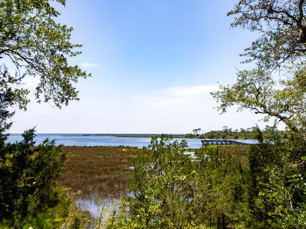 View of a bay from a hiking trail.