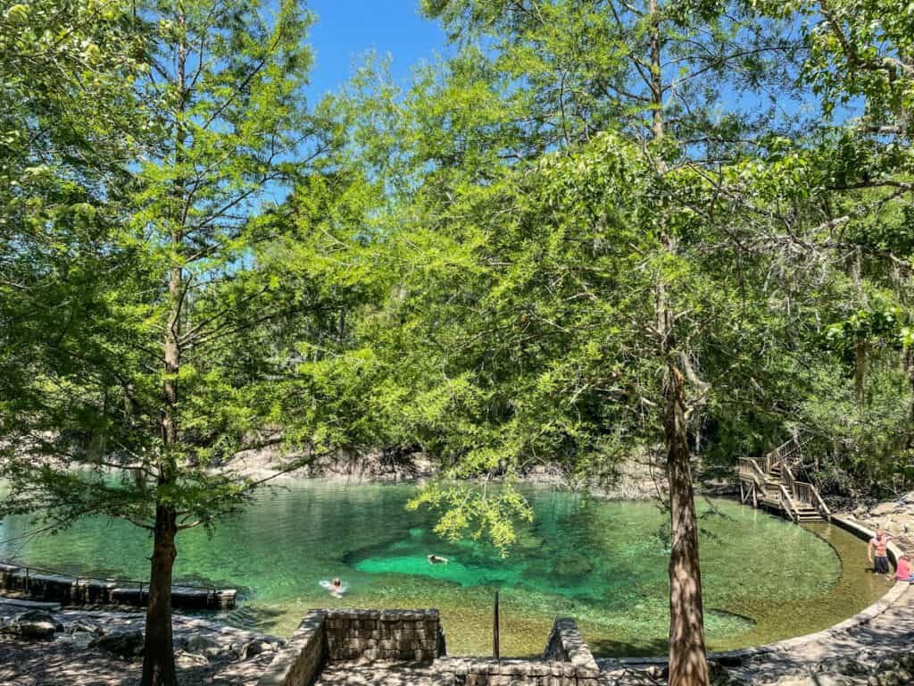 overlooking emerald water of little river springs