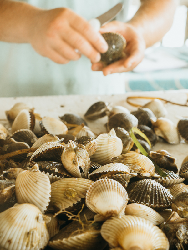 hand shucking scallops