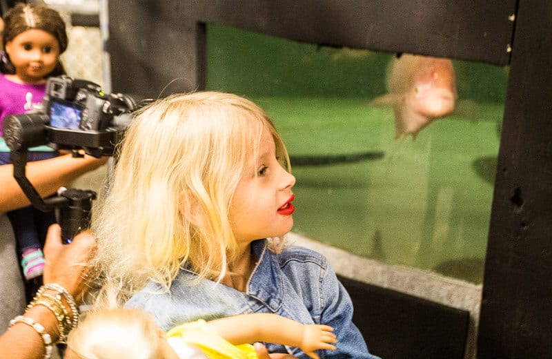 girl looking at fish in aquarium